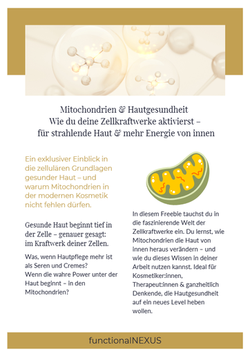 Mitochondrien & Hautgesundheit